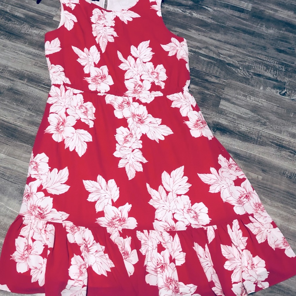 NWT Talbots lined pink/white sundress, button back
